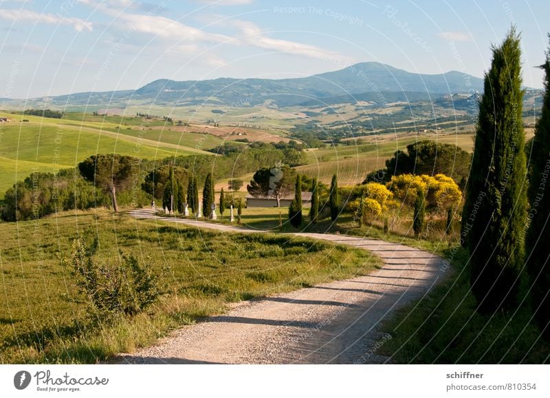 The way to the postcard Environment Landscape Plant Sunlight Beautiful weather Hill Kitsch Tuscany Italy Exterior shot Deserted