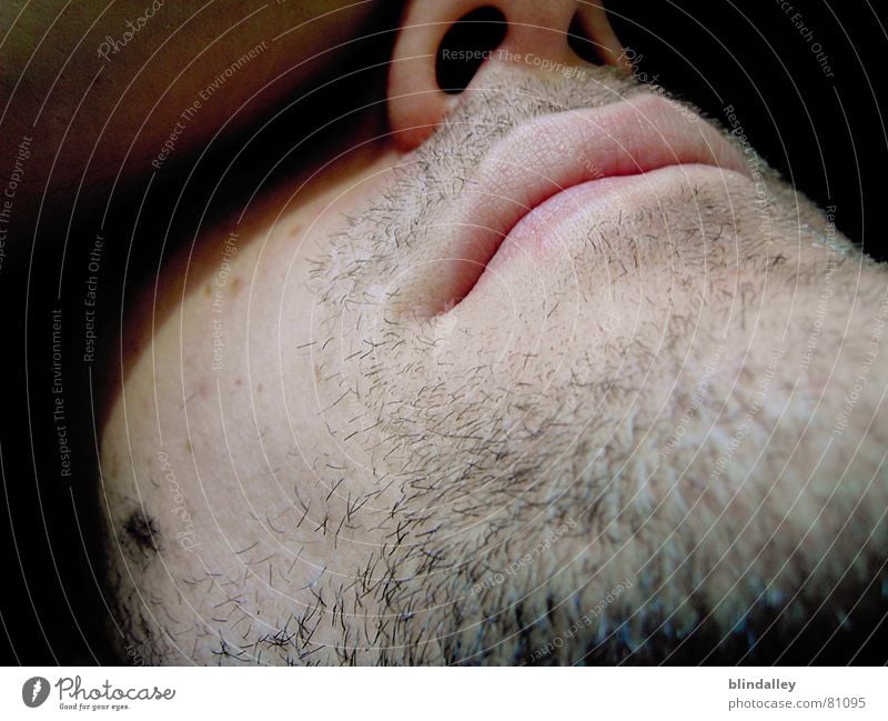 chillout Digital camera Facial hair Sleep Calm Man Interior shot Macro (Extreme close-up) Close-up Face Mouth Lie Perspective Shadow Skin Nose