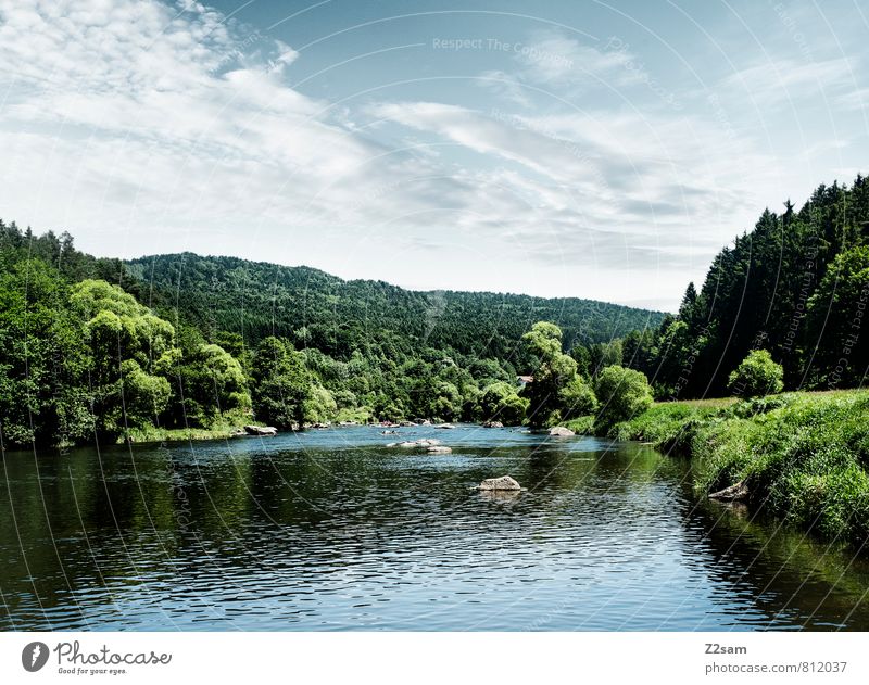 Upper Palatinate Environment Nature Landscape Sky Summer Beautiful weather Tree Bushes River bank Esthetic Fresh Sustainability Natural Blue Green Calm Idyll