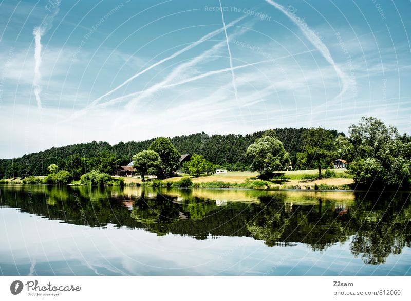 as painted! Summer Environment Nature Landscape Sky Clouds Beautiful weather Tree Bushes Lakeside River bank Athletic Fresh Sustainability Natural Clean Blue