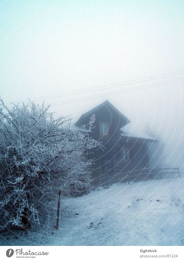 The white road 2 Fog Clouds Switzerland House (Residential Structure) Bushes Fence Window Roof Cold Winter Hedge Ice Country house Vail Shroud of fog Snow