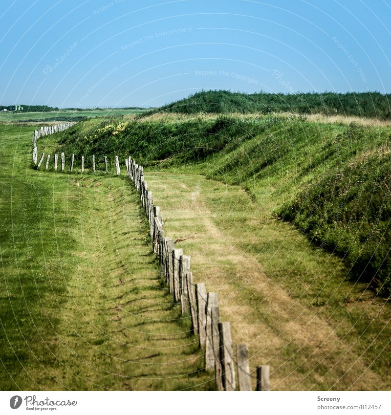 fenced Vacation & Travel Tourism Trip Summer Nature Landscape Animal Sky Cloudless sky Meadow Field Island Langeoog Dike Growth Hiking Blue Green Fence
