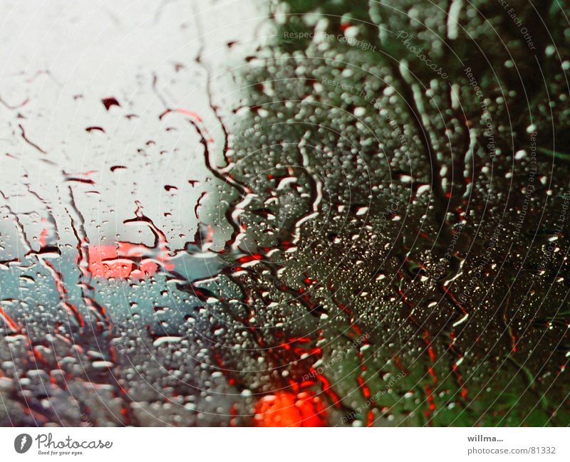 Driving in poor visibility in the rain - a Royalty Free Stock Photo from  Photocase