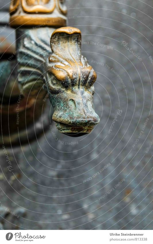 grrrr Stone Metal Observe Looking Aggression Threat Aggravation Grouchy Art Tap Dragon Ferocious Evil Water spout Brass Patina Verdigris Arts and crafts