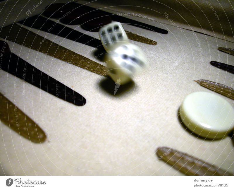 alea iacta est ... 1 Backgammon Black White Digits and numbers Blur Macro (Extreme close-up) Close-up Movement Dice