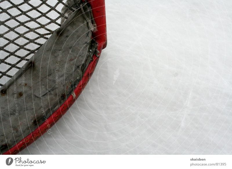 flat in the corner Leisure and hobbies Playing Sports Ice Frost Gate Net Fresh Cold National Hockey League Ice hockey Frozen surface Invitation Credit