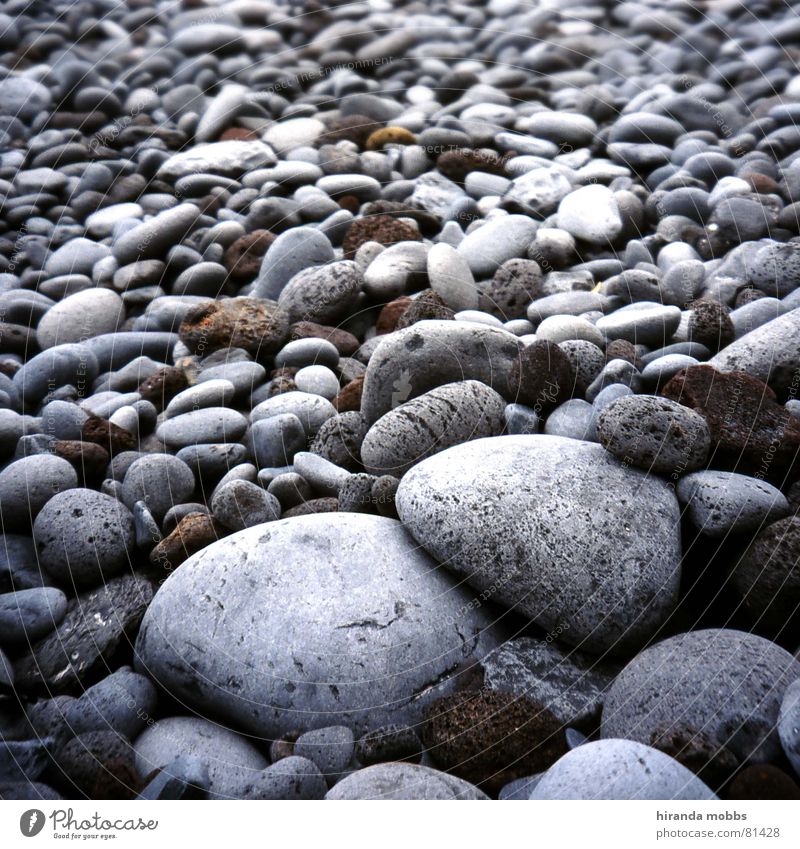 stony beach Beach Round Calm Coast Gray Ocean Multiple Circle Lakeside Neutral color Bathing place Serene Stone ashore Many Looking on the coast