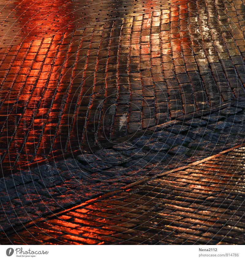 333 Paving stones for Photocase Village Small Town Downtown Old town Pedestrian precinct Marketplace Train station Street Lanes & trails Dark Wet Rainwater