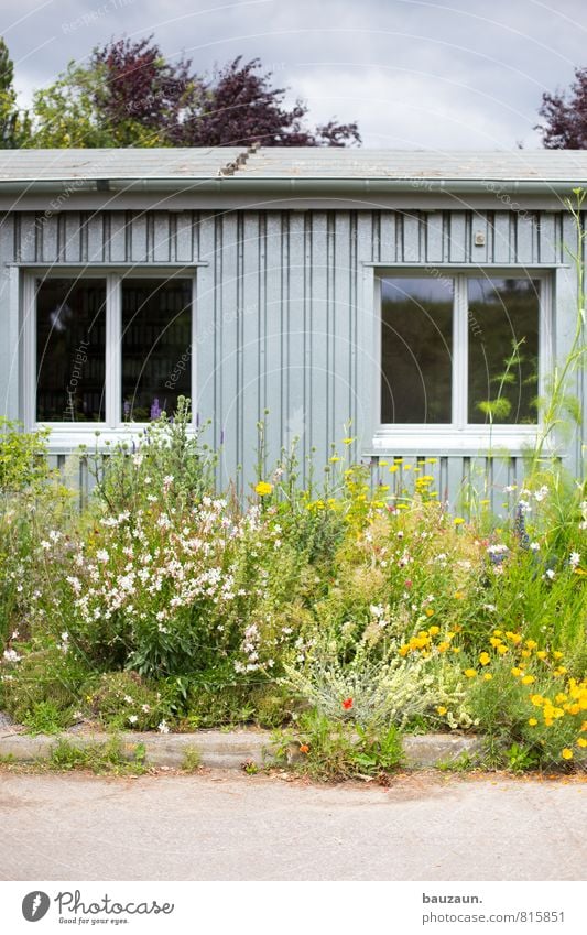 flower power. Flat (apartment) Garden Gardening Environment Nature Plant Weather Beautiful weather Flower Blossom Wild plant Park Meadow Hut Places