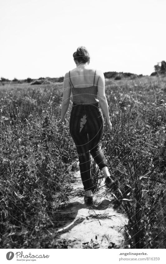 summerlove Black & white photo Woman Rear view Walking Movement Field Summer Sun Lanes & trails Beautiful Warmth