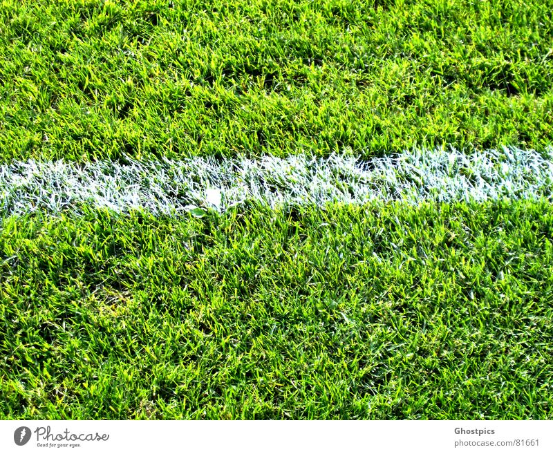White-Stripe on green Leisure and hobbies Playing Foot ball Football pitch Summer Sports Soccer Sporting Complex Stadium Plant Grass Garden Park Meadow Field