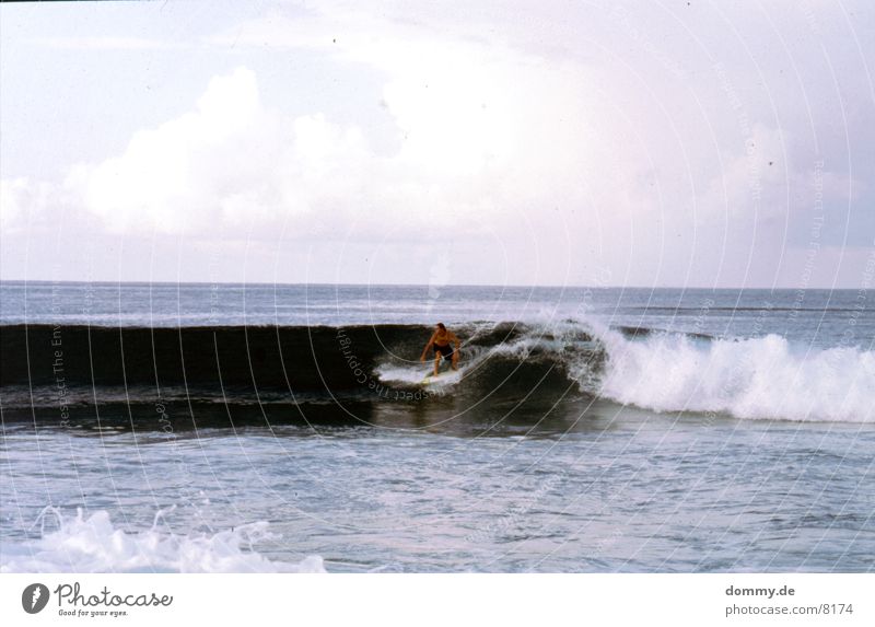 surfer Waves Water Breathe Flying Surfer Sri Lanka Colour photo