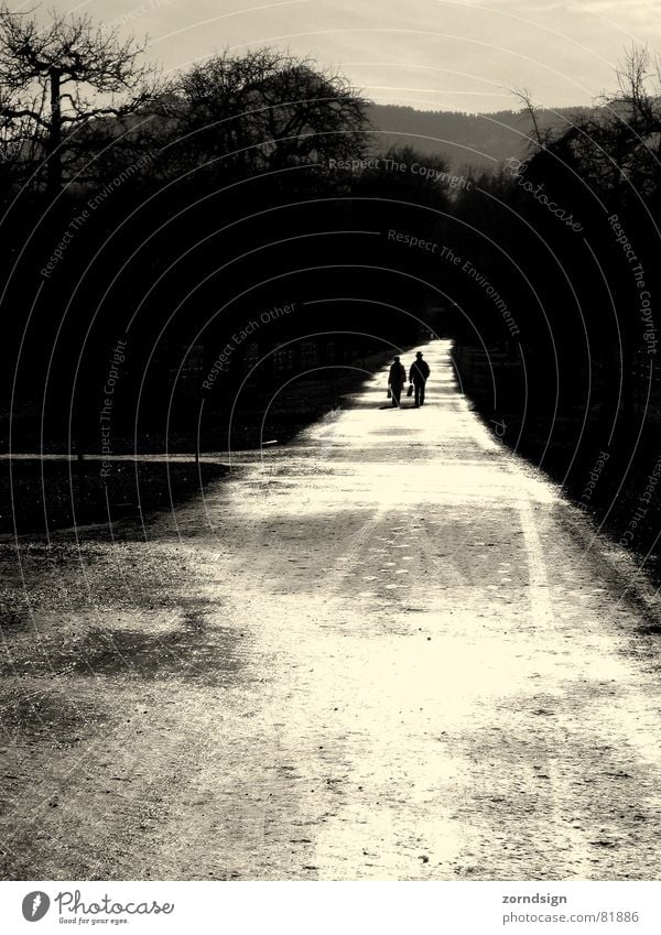 After the rain 3 Black & white photo Incidental Light Wet Shadow Reflection Darken Promenade Far-off places Sidewalk Doomed Damp Avenue Footpath Country road