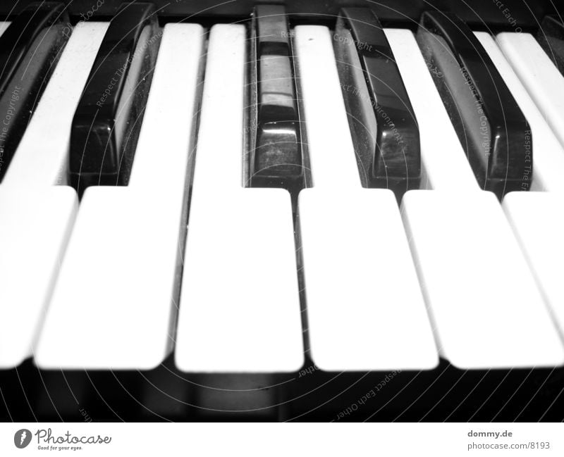 Organ (B/W Version) Black White Playing Macro (Extreme close-up) Close-up Touch