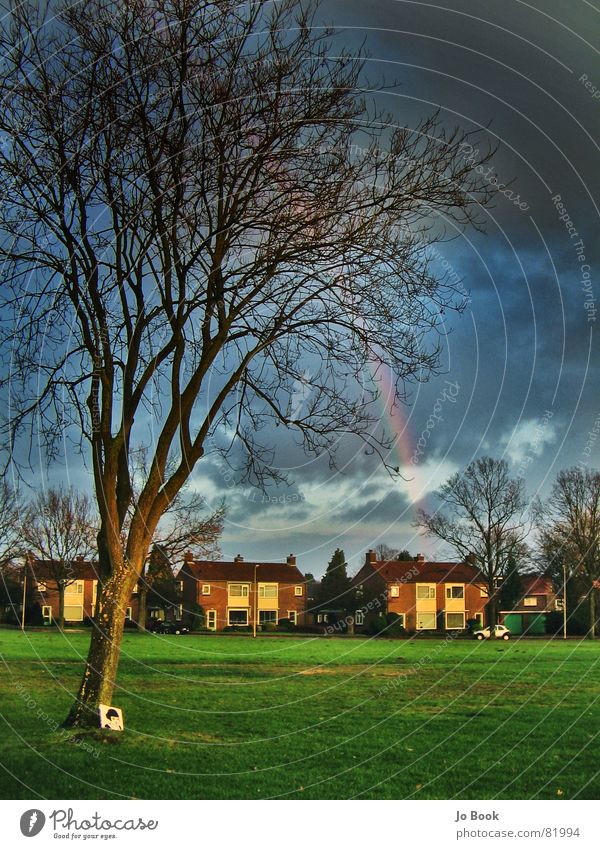 rainbow Enschede Tree Storm Rainbow Red Green Yellow Meadow Beautiful Natural phenomenon House (Residential Structure) Park Moody Dark Clouds RGB amelie Colour