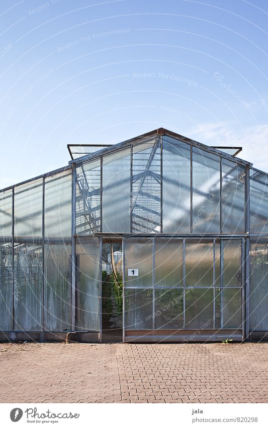 greenhouse Work and employment Gardening Workplace Agriculture Forestry Sky Manmade structures Building Greenhouse Window Door Esthetic Large Colour photo