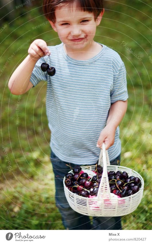 sweet tooth Food Fruit Nutrition Eating Picnic Organic produce Garden Human being Child Toddler Girl Boy (child) Infancy 1 1 - 3 years 3 - 8 years Summer