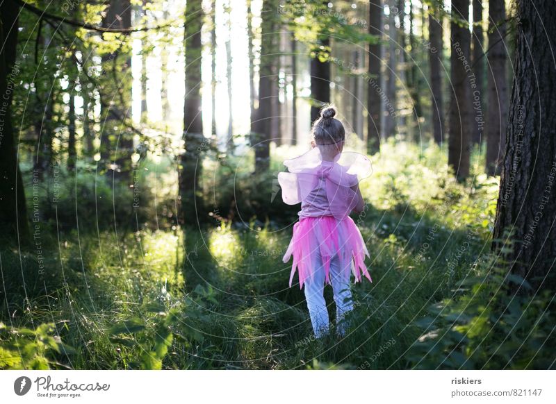 spring fairy Human being Feminine Child Girl Infancy 1 3 - 8 years Environment Nature Sunlight Spring Summer Beautiful weather Forest Discover Illuminate