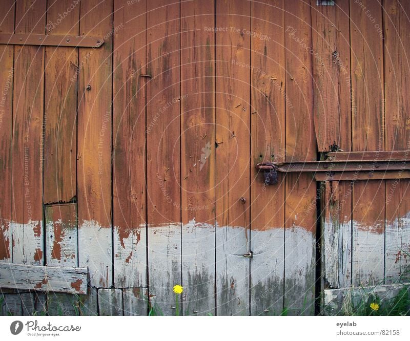 Love Shack Wall (building) Wood Red Insolvency Barn Agriculture Decline Gray Brown Summer Field Flower Wood flour Rust Derelict love's nest latch shack maturity