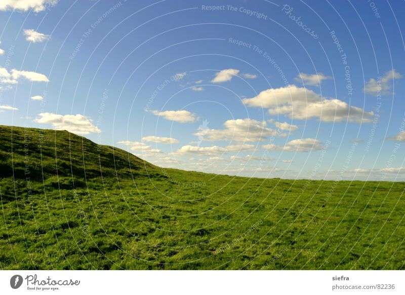 Bliss 2.0 Clouds Meadow Grass Green Exterior shot Blue Sky Happy Freedom
