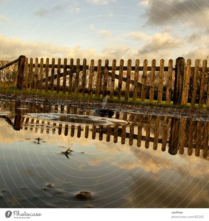 quadruple gate Barbed wire Fold Horizon Fence Meadow Footpath Puddle Reflection Clouds Dramatic Wind Passion Middle Symmetry White balance 2 Beautiful Border