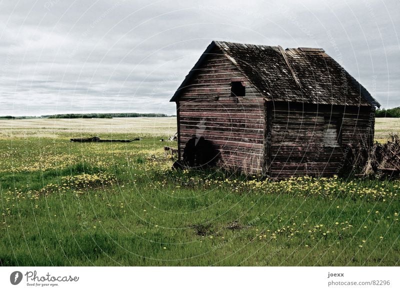 outpost Danger of collapse Manitoba Decompose Meadow Field Wood Decline Farm Roof Transience Gray Canada Window Agriculture Loneliness Resign Green space Clouds