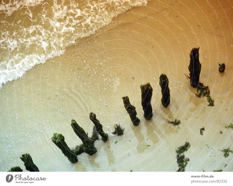 coast 1 Coast Low tide Waves Beach Mud flats Ocean Beige Sandbank Low water Progress Algae Brittle Decompose Fastening Storm damage High tide Transience Water