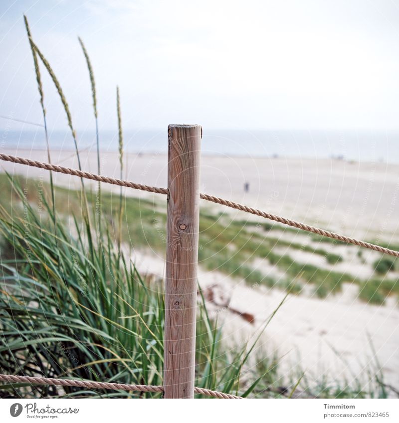 Watermark | Orientation aid. Vacation & Travel Environment Nature Landscape Plant Elements Sand Sky Beautiful weather Beach Denmark Pole Rope Wood Friendliness
