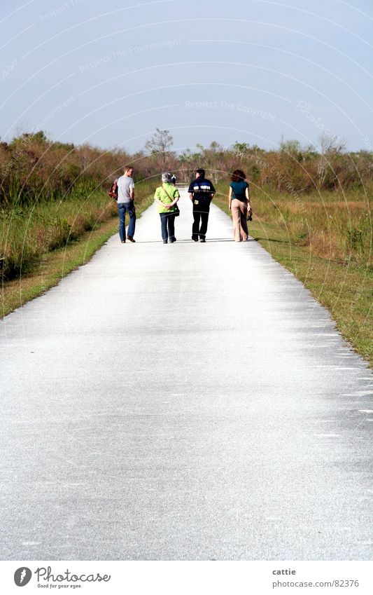 It's a long way to .... Crocodile Endurance Steadfast To talk Human being Friendship Family & Relations To go for a walk Calm Loneliness Everglades NP Hot