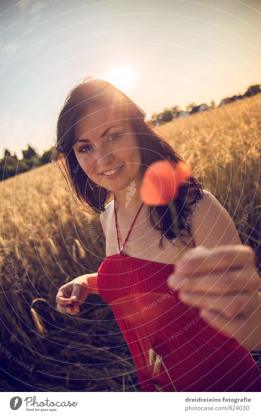 A poppy flower for you Feminine Young woman Youth (Young adults) Woman Adults 1 Human being Nature Sunrise Sunset Sunlight Summer Beautiful weather Dress