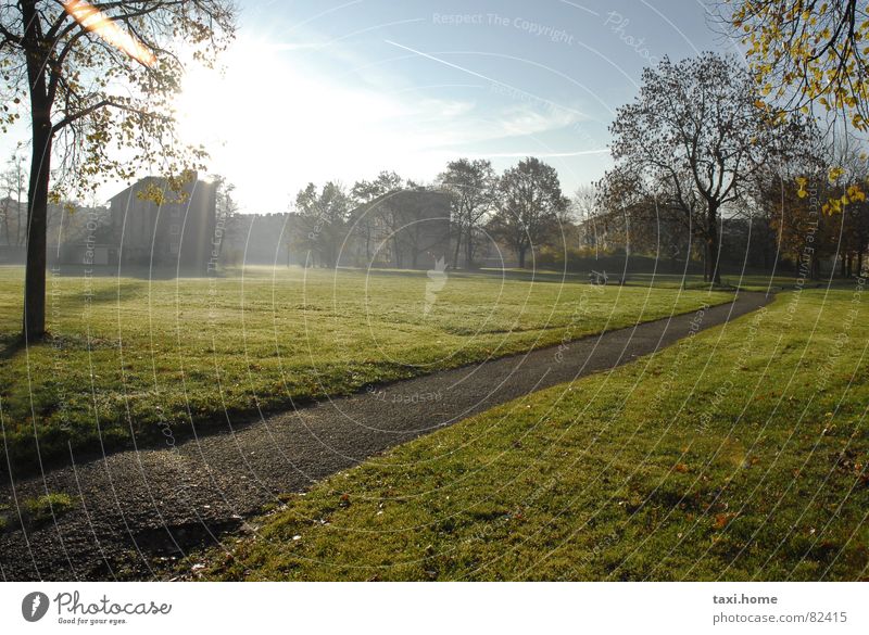 In the morning Park Far-off places Dew Sunrise Tree Meadow Sidewalk Fog Autumn Going To go for a walk Wayside Fresh Pleasant House (Residential Structure) Grass