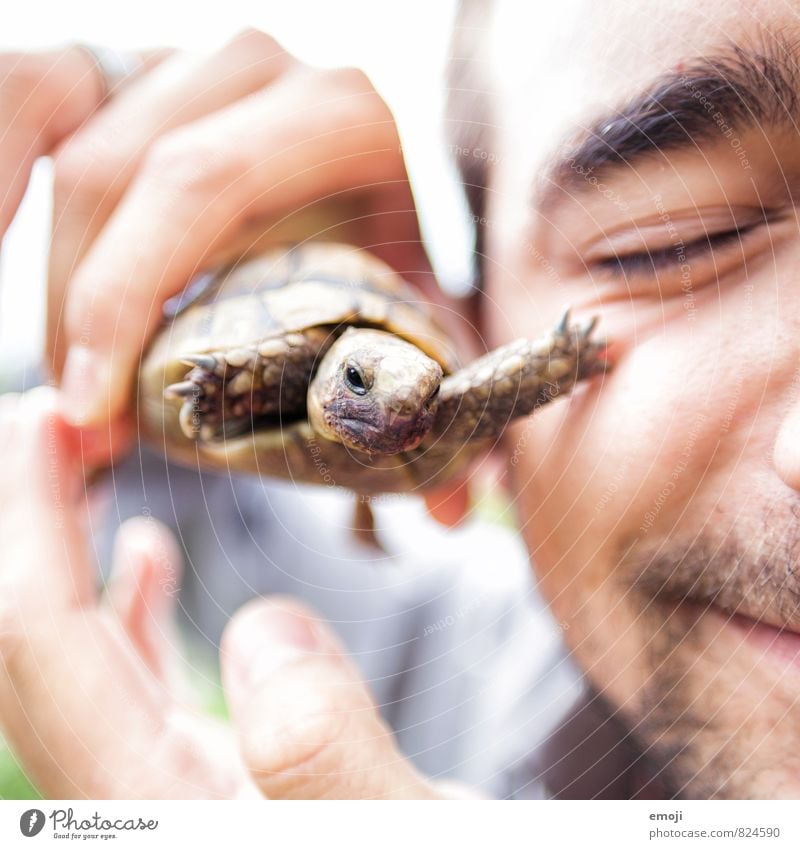 stroke Masculine Young man Youth (Young adults) Face 1 Human being 18 - 30 years Adults Animal Pet Baby animal Exceptional Point Turtle Colour photo