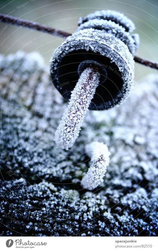 freezing cold Wooden stake Wire Pasture fence Cold Hoar frost Meadow Fresh Cattle Pasture Ice Green space Winter ring insulator Crystal structure Frost chill