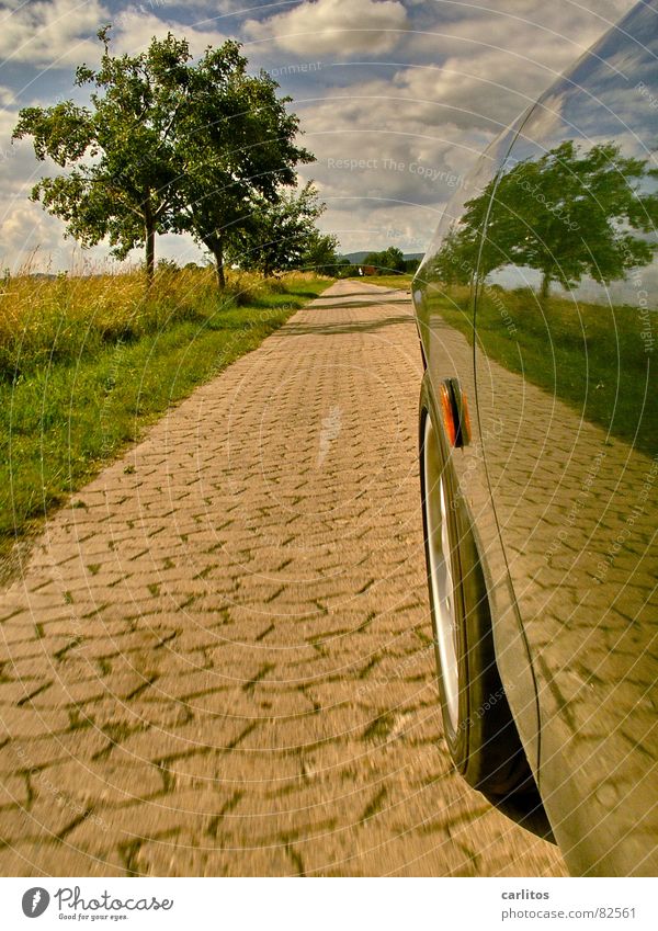 Airbrush ?  I Footpath Tree Row of trees Driving Fender Reflection Mirror image Horizon Clouds Green Pavement Acceleration Car Speed Summer tousled
