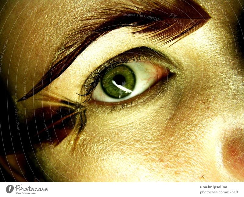 spring I Pupil Detail Marvel Soft Flirt Perspective Iris Saucer-eyed Fix Audience Woman Feather Eyes Looking goggle-eyed Focal point at the moment Snapshot