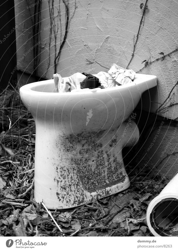 Outdoor toilet Black Obscure Toilet Bowl Black & white photo wise Exterior shot