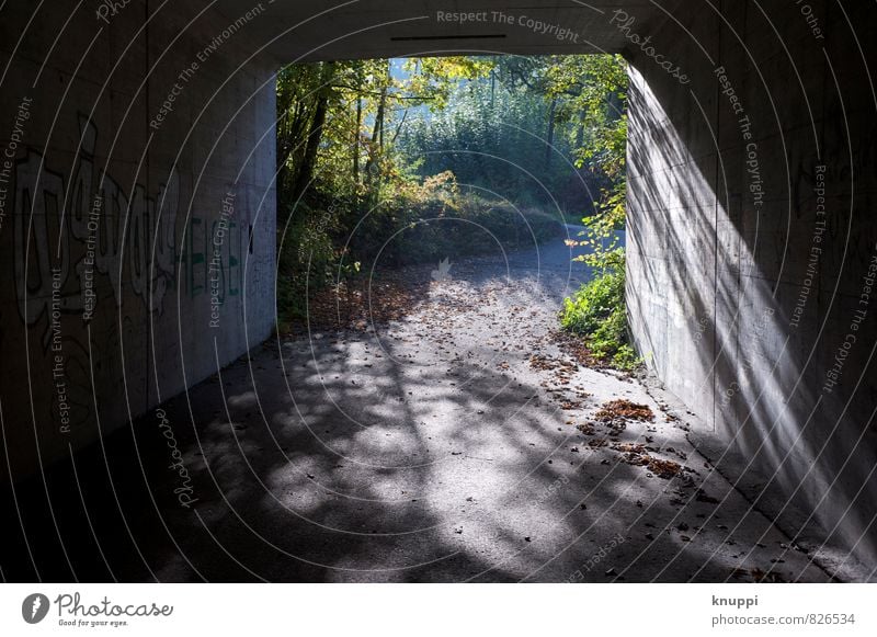 ...at the end of the tunnel. Art Artist Work of art Graffiti Summer Wild plant Park Forest Hill Cool (slang) Free Hip & trendy Uniqueness Modern Town Gold Gray