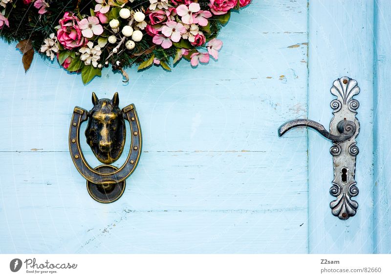 cowardly/courageous Above Horse's head Door handle Flower Wreath Keyhole Rural Country house Entrance Closed Living or residing Blue Open Wooden door
