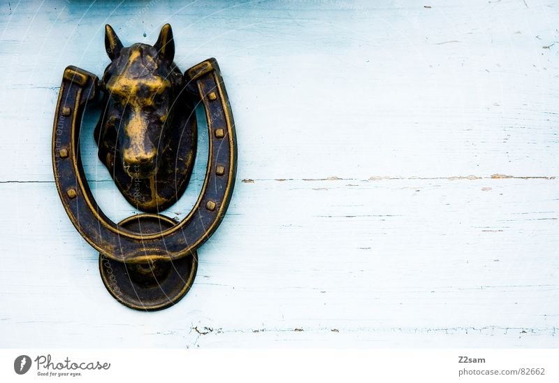 knock, knock II Horseshoe Door handle Horse's head Rural Country house House (Residential Structure) Entrance Closed Bronze Glittering Wood Wooden door Line
