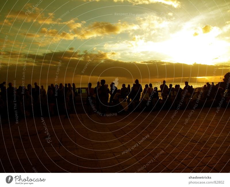 playa Accessible Beach Ocean Clouds Green Yellow Bla Red Human being Audience Light Sunlight Sea water Coast lions Sky Sit Silhouette Water Island Society