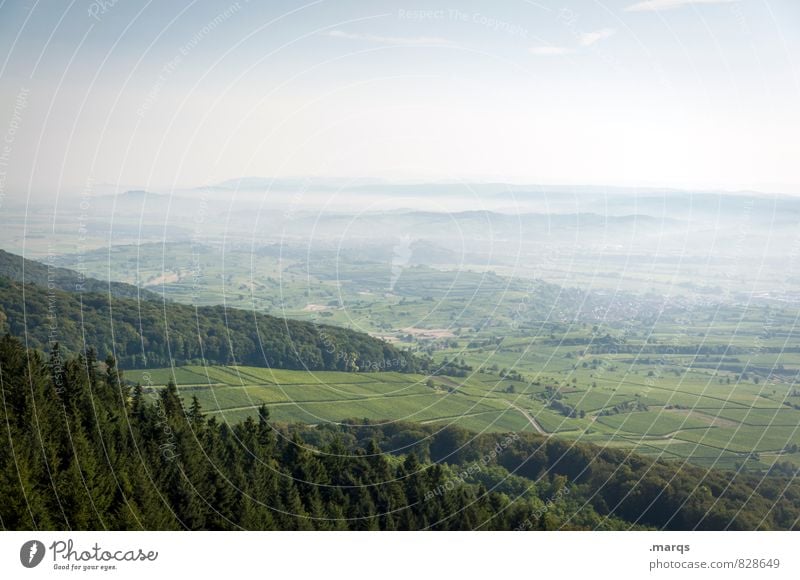 Rhine Valley Tourism Trip Environment Nature Landscape Cloudless sky Horizon Summer Beautiful weather Tree Meadow Forest Hill Plain Vantage point Moody Success