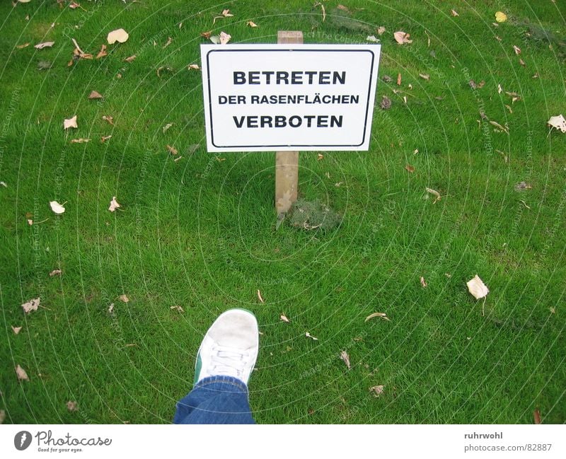 Trespassing forbidden! Sated Green Arrangement Lawn Footwear Poison Meadow Unnatural Bans Dangerous Narrow Limitation Exterior shot Garden Park green-striped