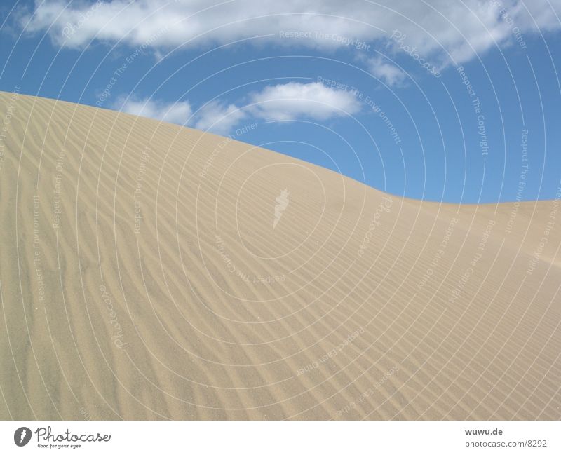 dune Spain Gran Canaria Beige Europe Beach dune Sand Desert Sky Blue Structures and shapes Furrow