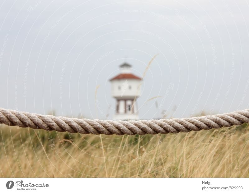 900 soul dangle... Vacation & Travel Tourism Summer Summer vacation Environment Nature Landscape Plant Sky Beautiful weather Grass Coast North Sea Island