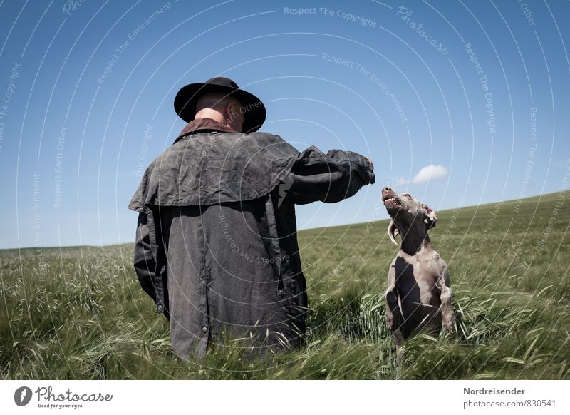 The scarecrow and his dog Leisure and hobbies Playing Trip Agriculture Forestry Human being Masculine Man Adults 1 Nature Landscape Sky Summer Beautiful weather