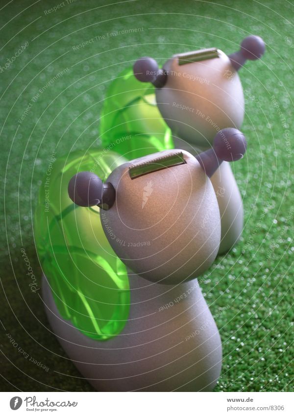 snail Green Gray Snail glue worm Plastic Adhesive tape Close-up Interior design 2 Office Equipment Plastic figurine