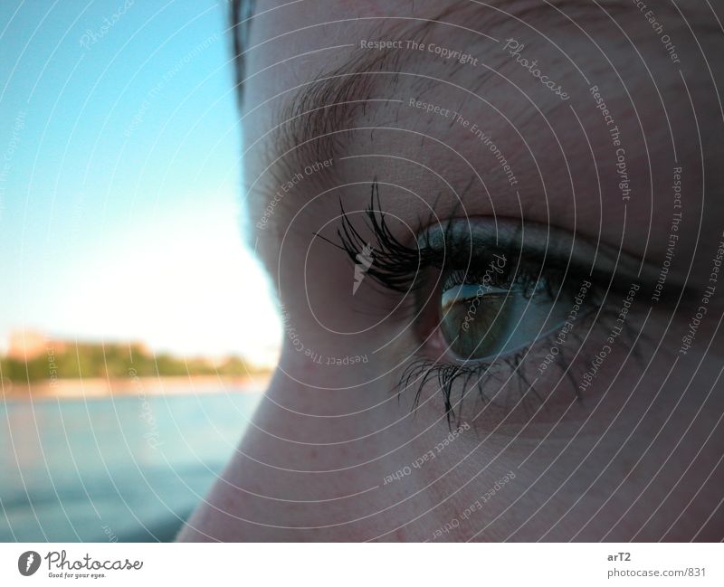 Rhine Eye Woman Close-up Eyes Side Facial expression