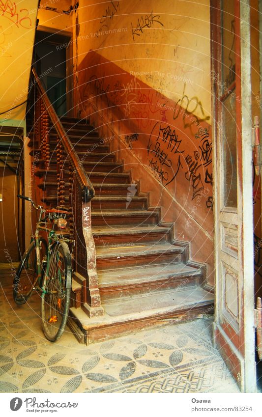 stairwell Building Entrance Hallway Staircase (Hallway) Bicycle Wall (building) Wood Foyer Deer Old Access Rustic Story Manmade structures Go up Wall (barrier)