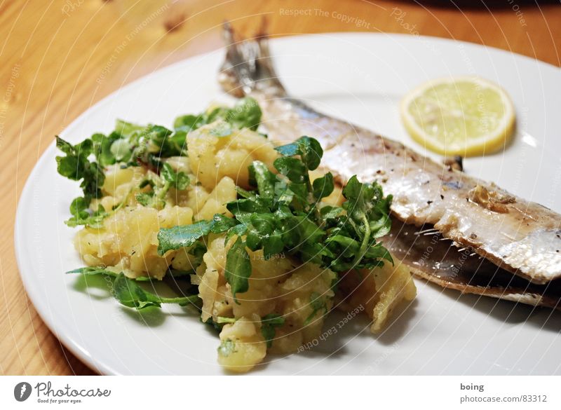 fresh fried herring without marinade with potato salad Gourmet Fish dish Herring Fish bone Lemon Watercress Portion Plate Meal Dining hall Cafeteria Fin Part