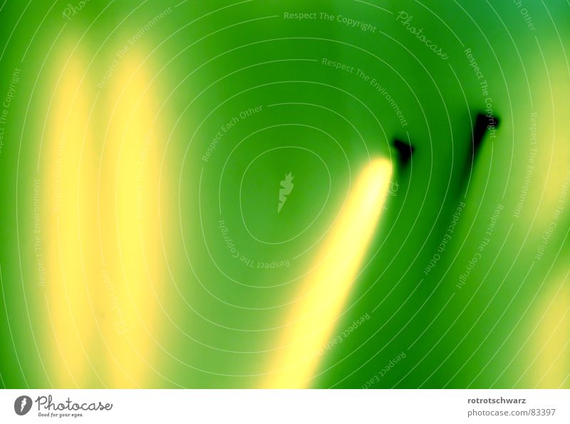 diffuse neon tubes Nineties Neon light Lamp Electricity Soft Blur Cold Physics Green Yellow The eighties Club Techno Diffuse Retro Abstract Calm Relaxation